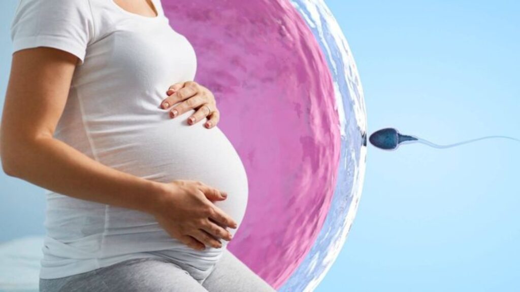 IVF procedure