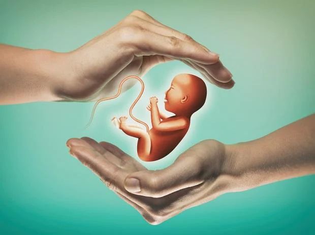 ivf success rate