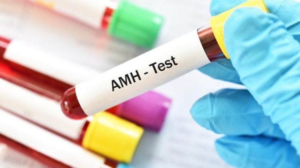 pregnancy with low AMH