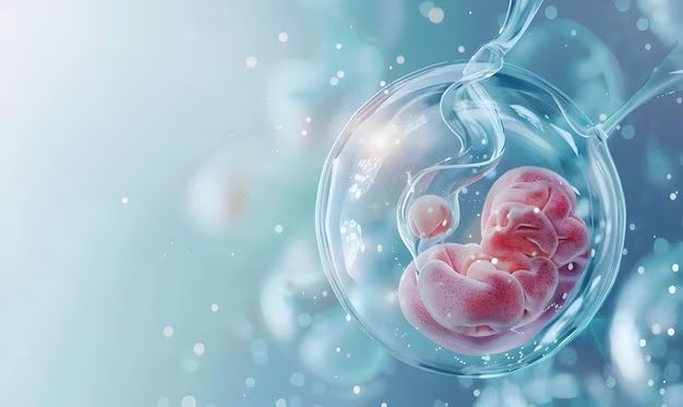 IVF cycles for pregnancy
