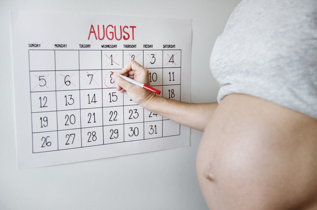 IVF Timeline