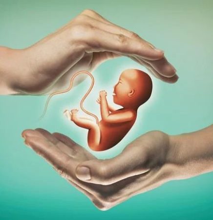 ivf success rate